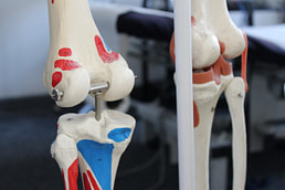 Osteolates Sports Therapy Knee Joint Pain